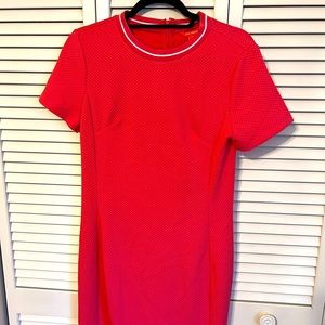 Gorgeous shift bnwot